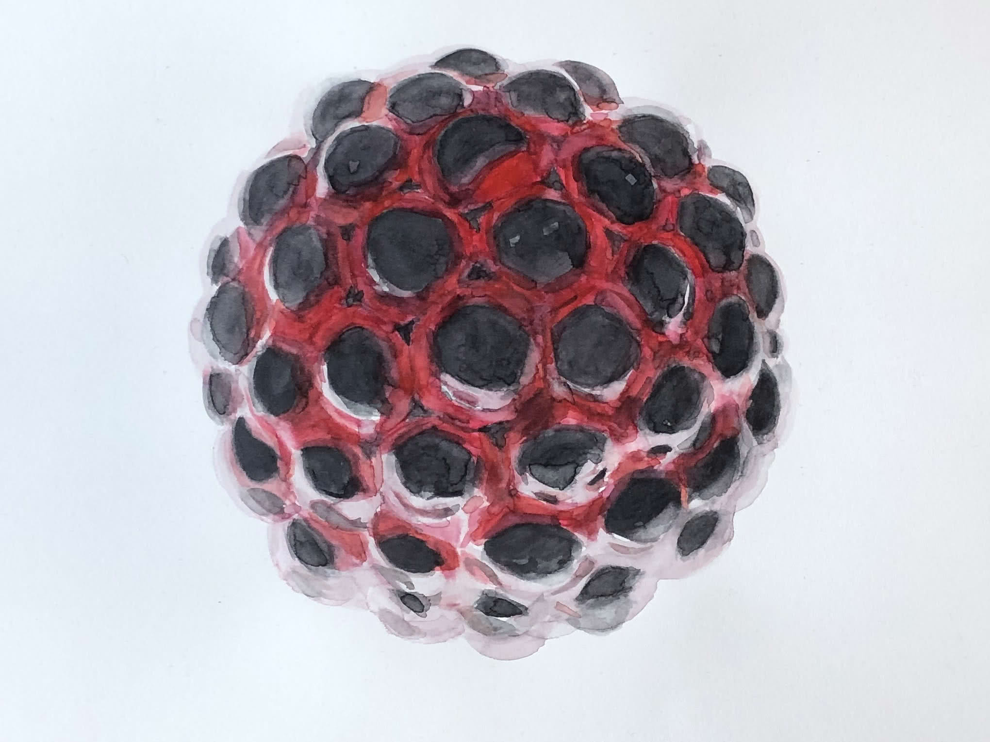 Transparency Variant 1